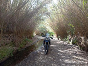 IMG-20260403-174718
