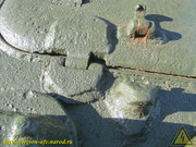 IMG-5565