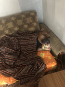 BE169D37-EBDB-4839-9933-A129728058F2