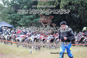 IMG-6190