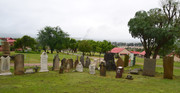 DSC-0011
