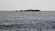 [Image: DSC09820.jpg]