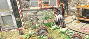 Steampunk-Feeding-811x395