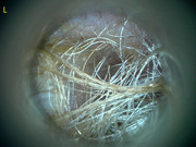 23207 177208 Into CNS 000001