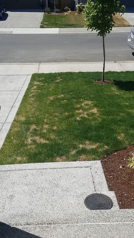 15004122742421433010699