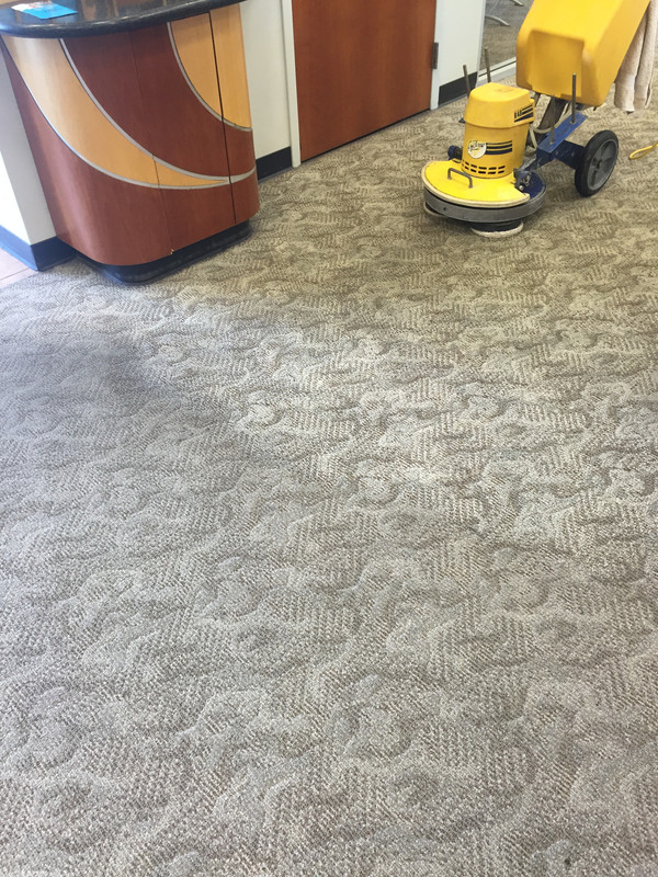 Carpet Cleaning Near Me