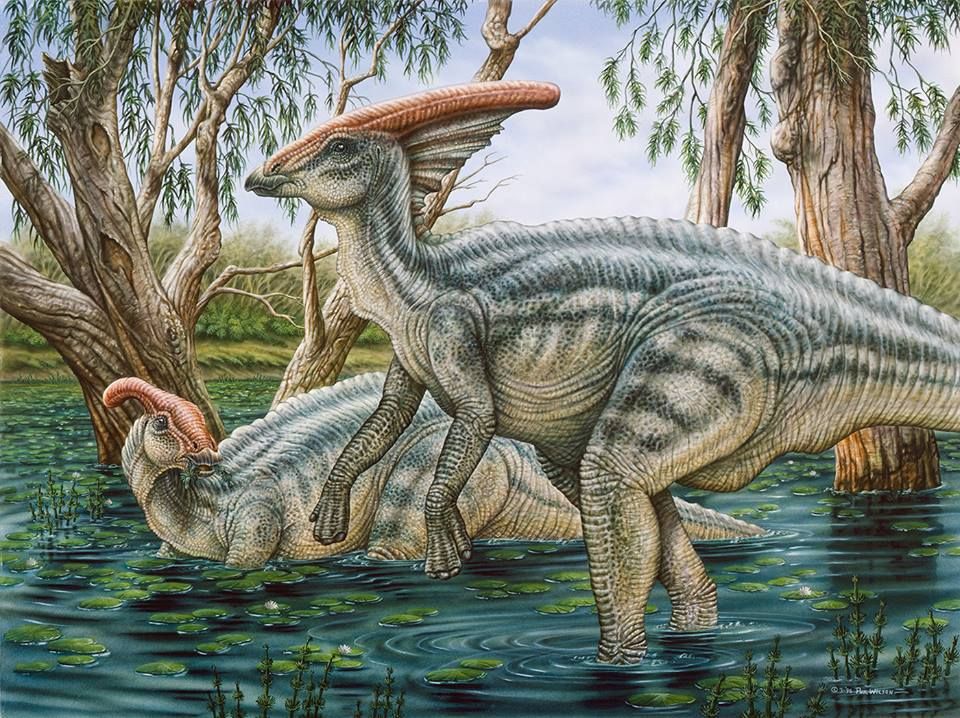 9ea811d81f69eafe5642c314e7f75f89