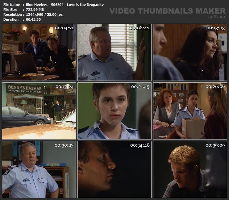 Blue Heelers - S06E04 - Love is the Drug.mkv