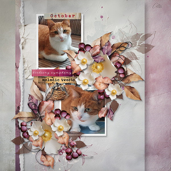October-melody.jpg