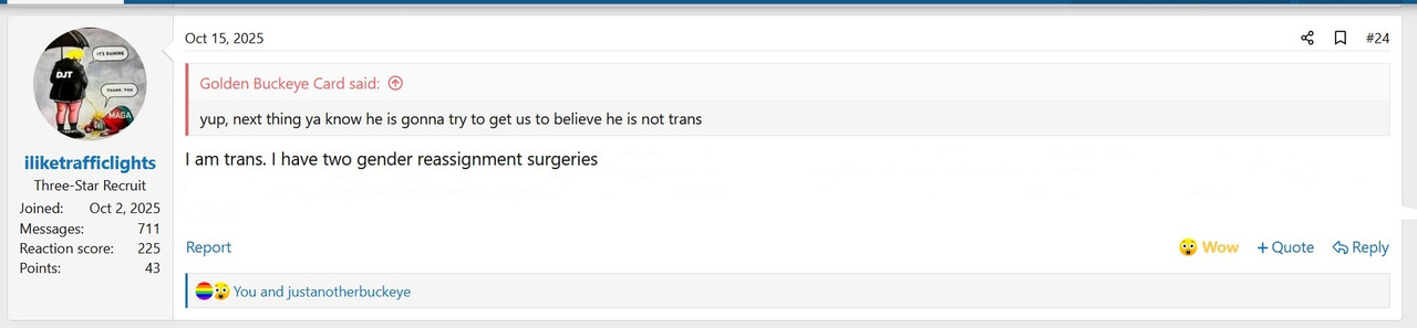 lights-trans-01.jpg