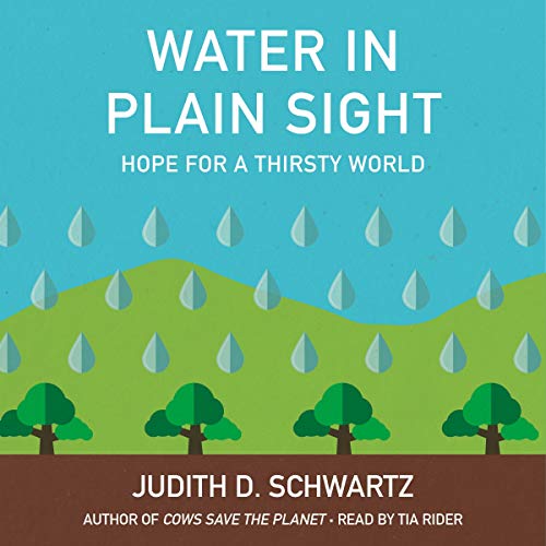 Judith D. Schwartz Water in Plain Sight - Hope for a Thirsty World
