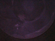 Photo_2025-06-05 21_21_28_287