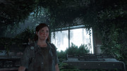 The Last of Us™ Part II_20200728021625