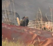 54236964_2171520663160284_4352006055123746816_n