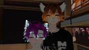 Imagen-26