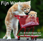 weekend-5