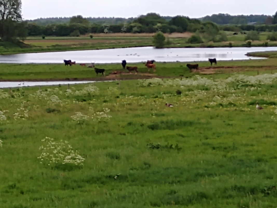 IMG_20190503_120207062