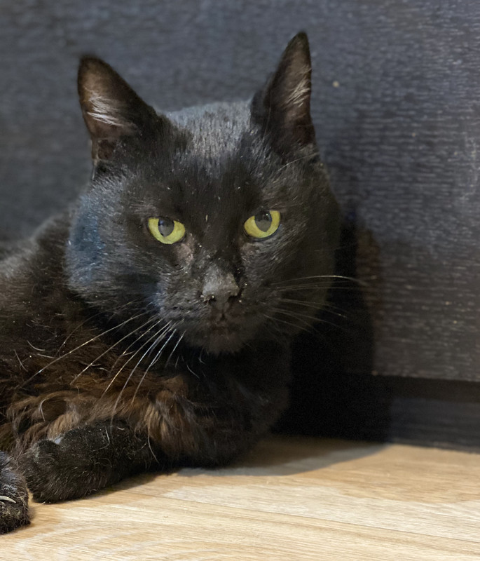 C30E17E8-6D81-4146-BEF2-3F05DEAEADB9