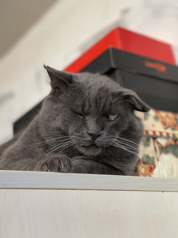 341928AD-8E01-469F-866E-3CAA16CDAF4C