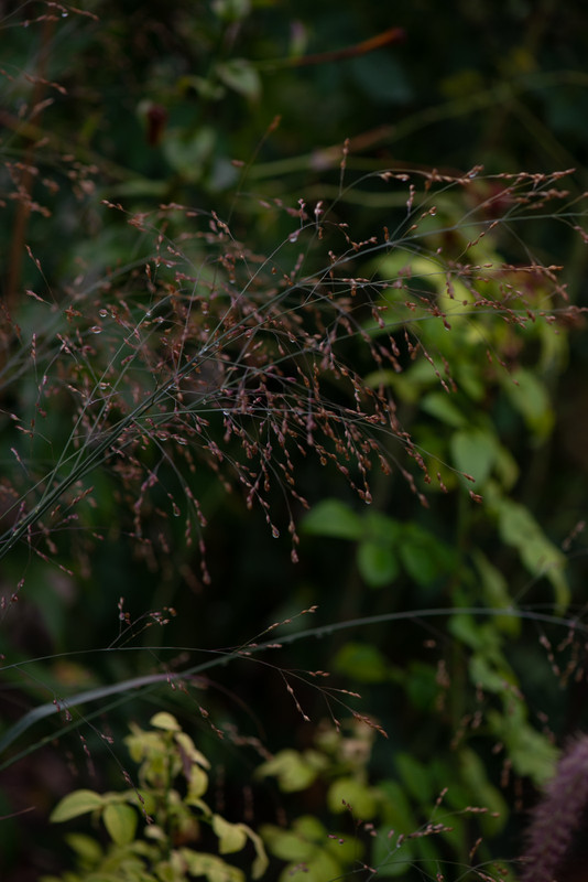 IMG-7694f95938594b1a2ec3da4be3a91296-V