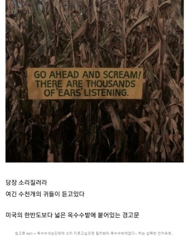 캡처_2023_02_20_10_41_03_763