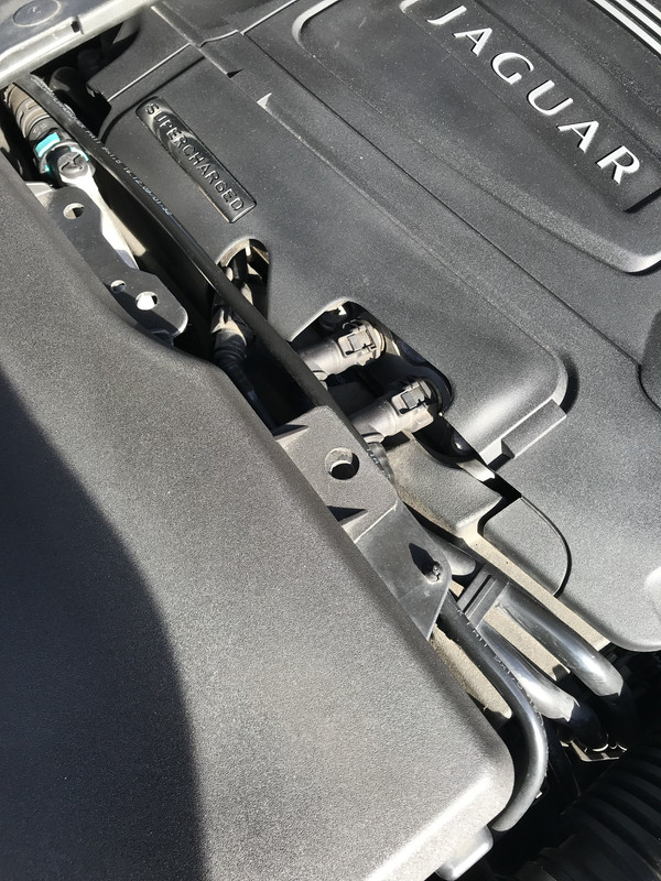 113F0B6E-A0FD-4FC9-AC2A-914FB75A323B