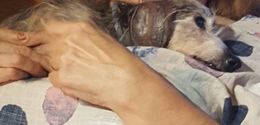 [Image: 20200618-092040.jpg]