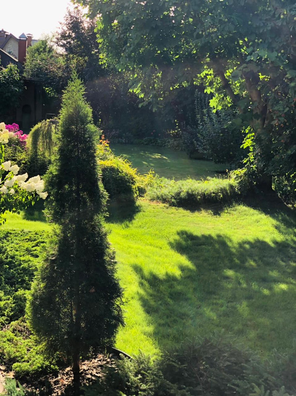 E36B5D14-19F3-46D6-9724-782225FC4D1F