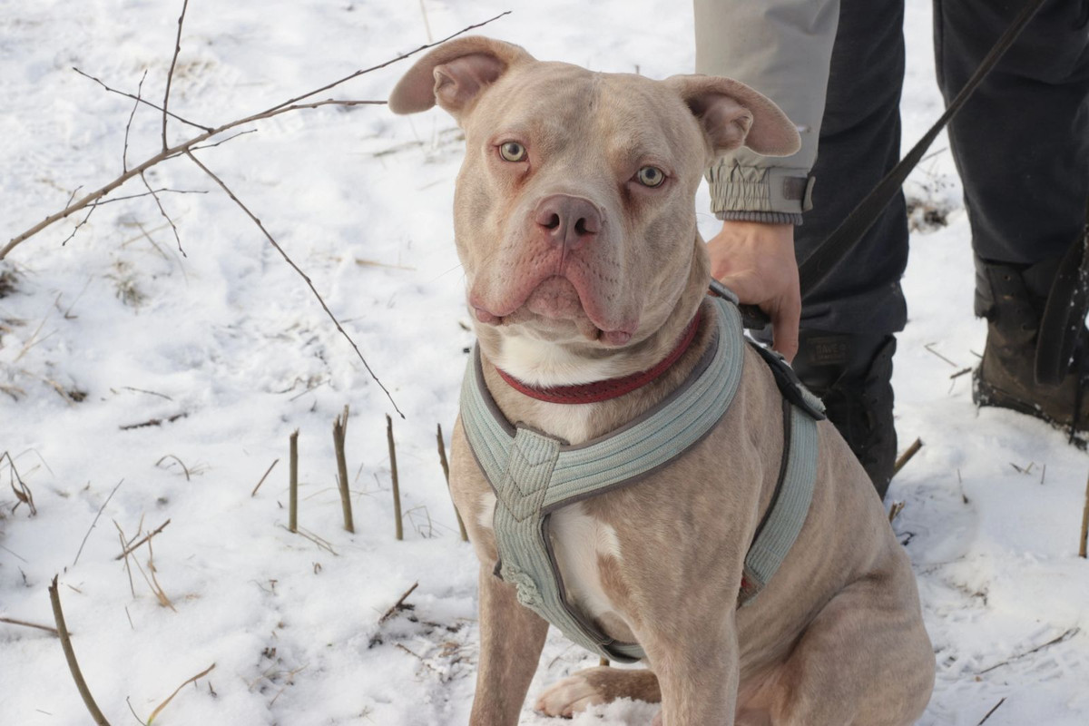 WhatsApp Image 2023-07-31 at 15.26.02 (1)