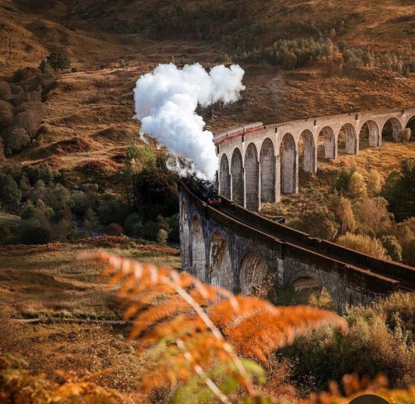 Screenshot_20231117_205008_Pinterest