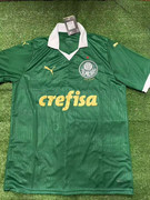 Palmeiras-I-24-25.jpg