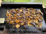 [Image: IMG-5964.jpg]