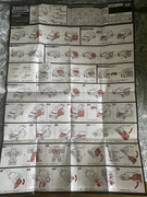 Masterpiece-MP-53-B-Dia-Burnout-15