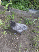 758E9F98-ECE5-43C6-9CE1-3410268C647E