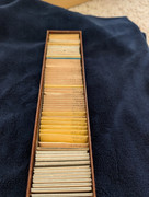 PXL-20260807-212209773