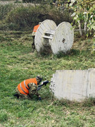 IMG-1269