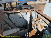IMG-1487