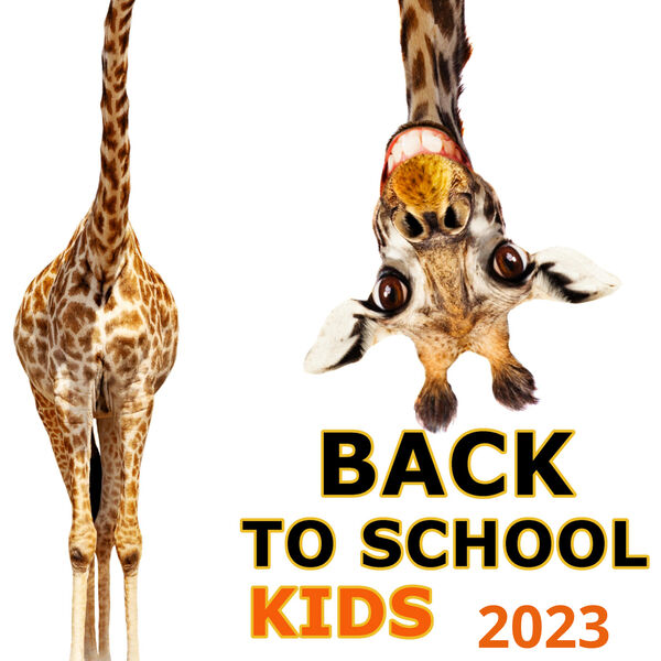 https://i.postimg.cc/0v4rq0GW/5tcdmt54uyw0.jpg