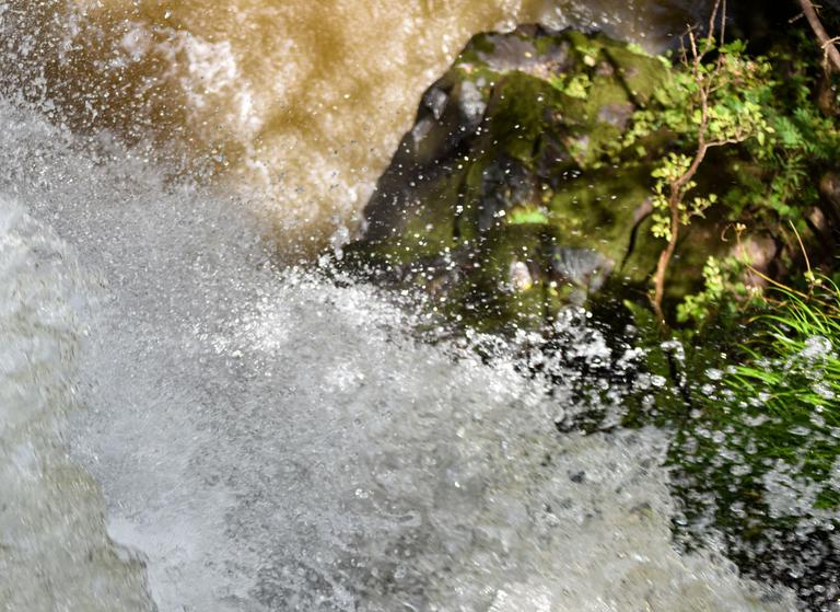 В джазе только девушки или аргентинско-бразильский калейдоскоп В джазе только девушки или аргентинско-бразильский калейдоскоп