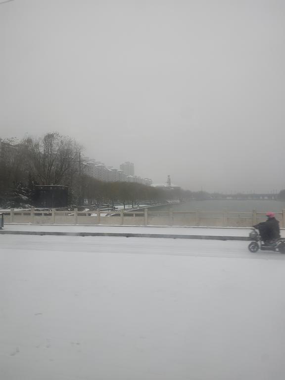 IMG_20231213_075819252