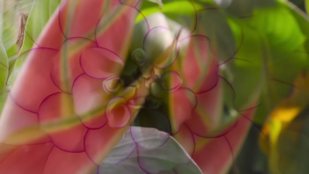 [Image: w95tzukcc81z.jpg]