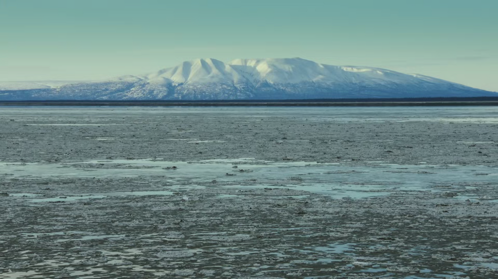 [Image: bh36dvw88zca.png]