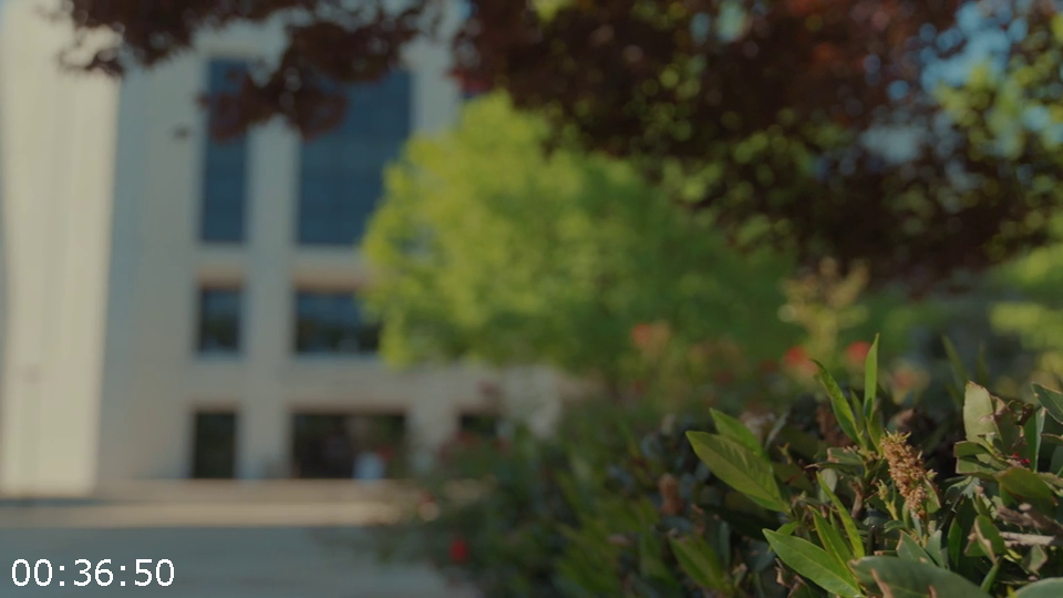 [Image: 3b4c9xsomsd3.png]