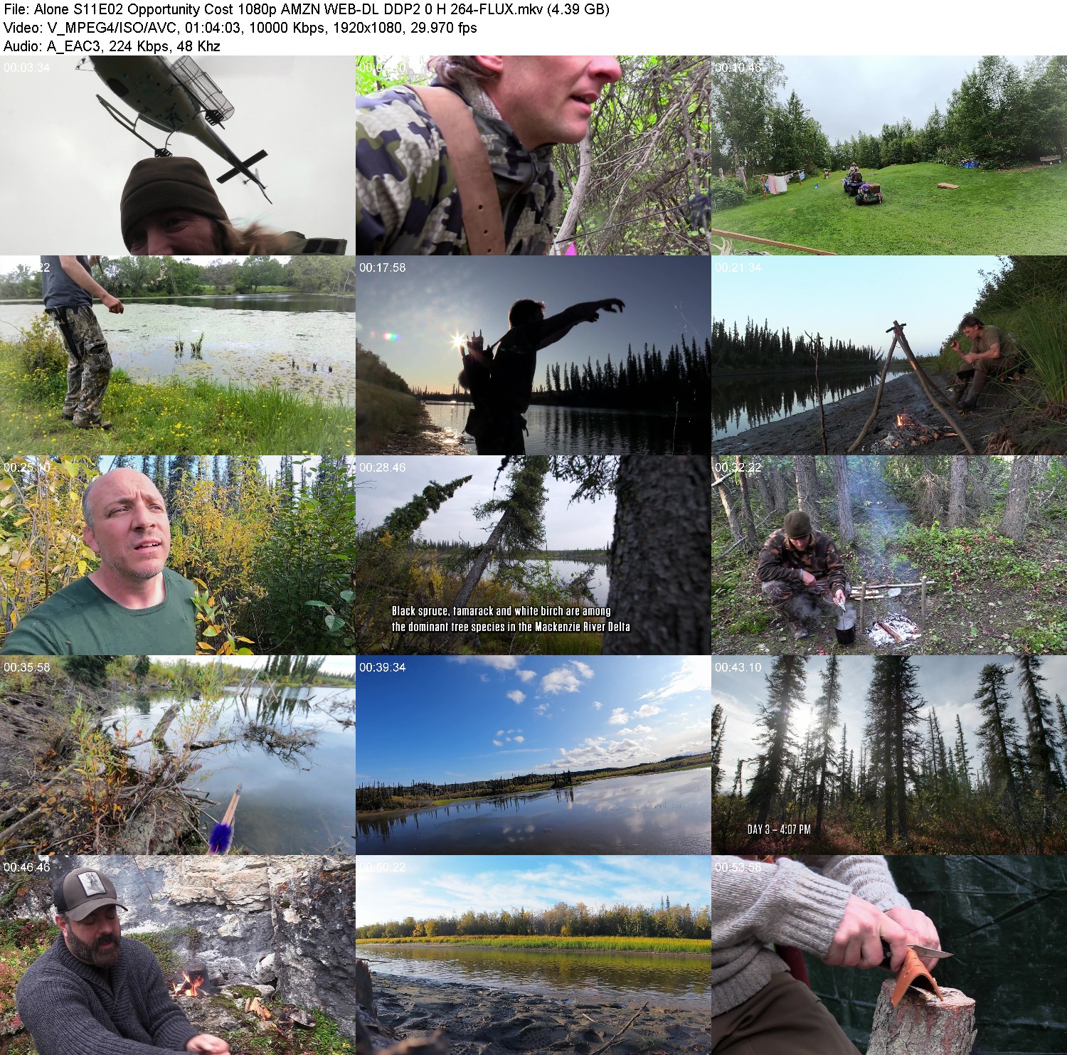 [Image: xs3qjqy452jg.jpg]