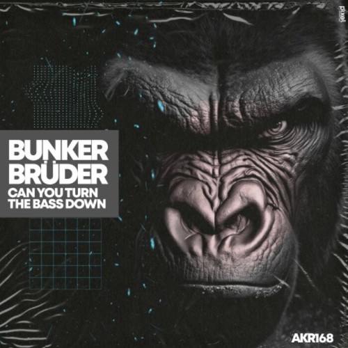 BunkerBruder - Can You Turn the Bass Down (2025) [MP3]