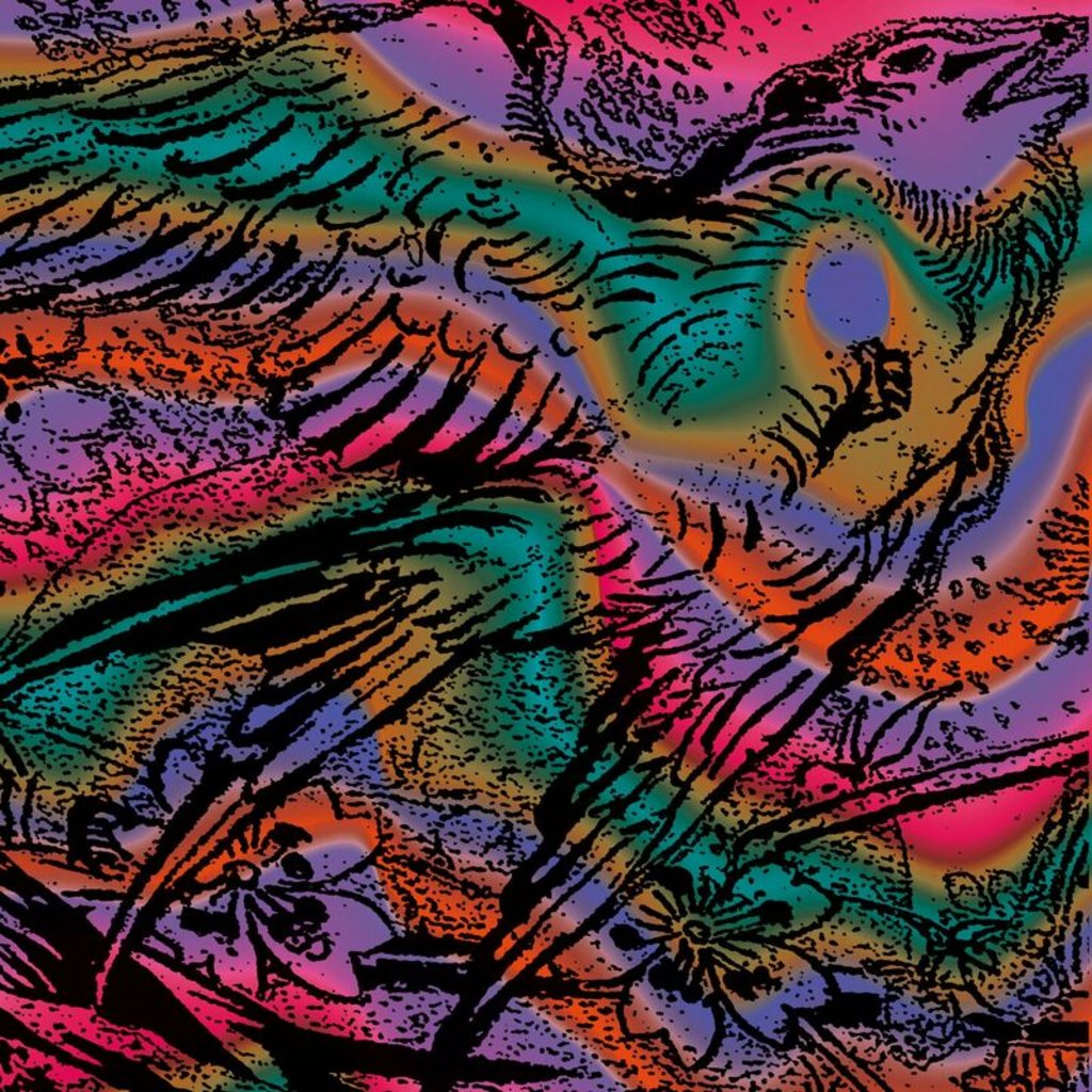 [Image: sx9kmus1c54o.jpg]