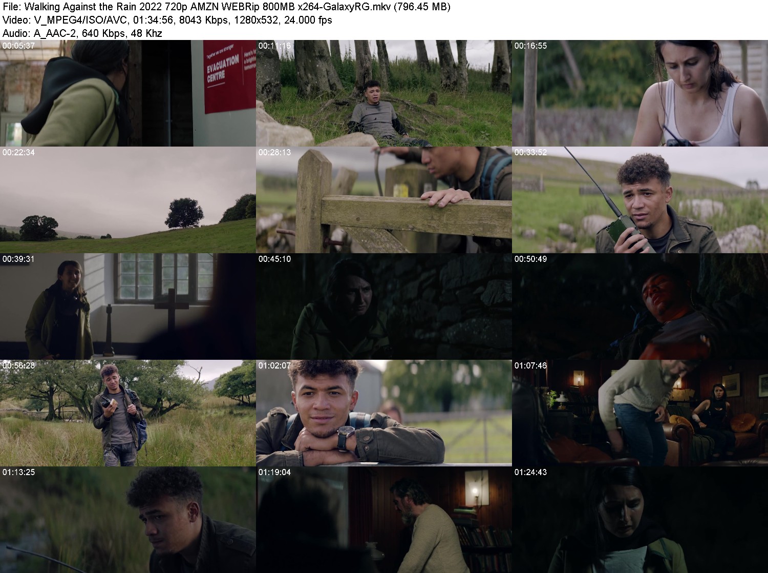 [Image: qvcw049if3lg.jpg]