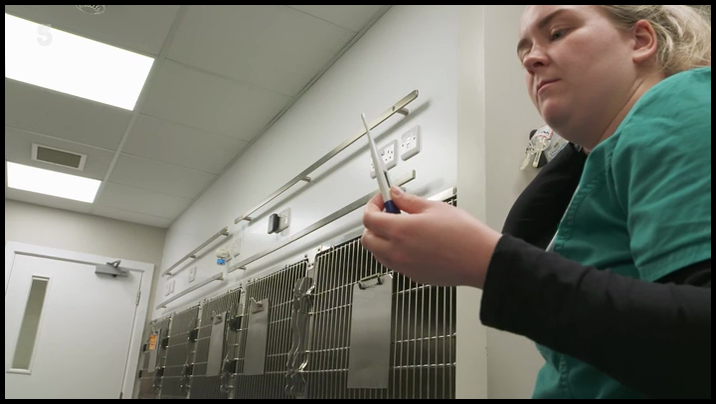 [Image: gff42bj88giv.png]