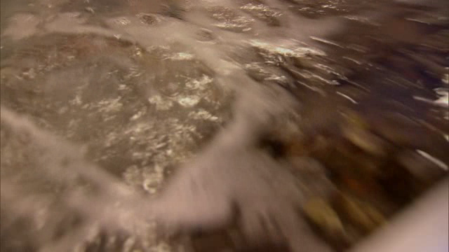ty4v2e8h9wmv.png