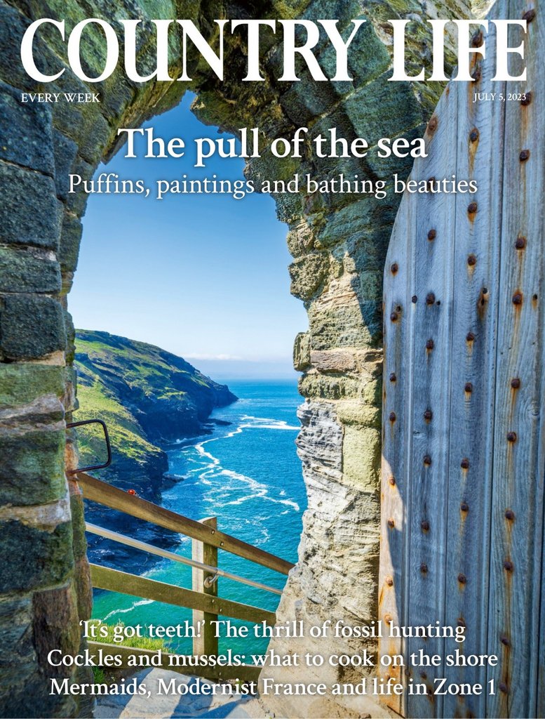 [Image: wg8nr5w5ev2n.jpg]